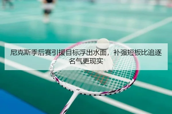 尼克斯季后赛引援目标浮出水面，补强短板比追逐名气更现实